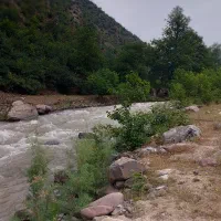 زمین فروشی در روستای ماسال