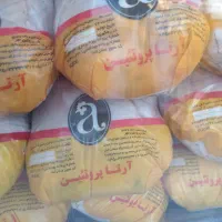 کارگر مرغ وماهی