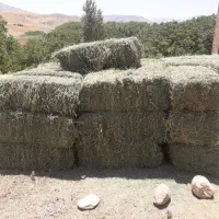 یونجه