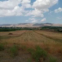 زمین-کشاورزی-با-آب