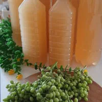 محصولات خانگی