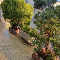 چلوکبابی-رهن-و-اجاره