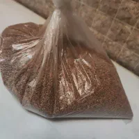 تخم منداب