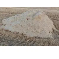کاه گندم