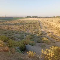 فروش 1 هکتار زمین