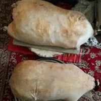 پنیر گاو