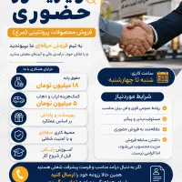 بازاریاب حضوری آقا