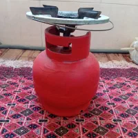 پیکنیک سالم در حد نو