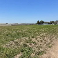 زمین مناسب کشاورزی با امکانات آب و برق