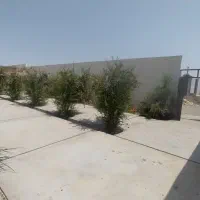 باغ سند دار  اماده