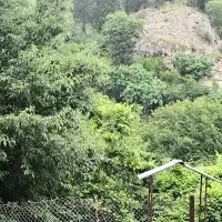 تور وچارتر