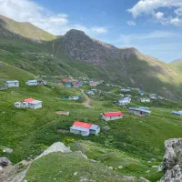 مرغداری گوشتی ۱۵هزار قطعه تمام اتوماتیک