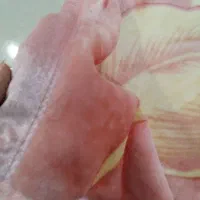 پتو