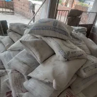 گچ کاری
