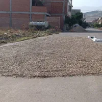 تخمه هندوانه کدویی
