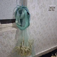 سلیه یا تور پرتابی