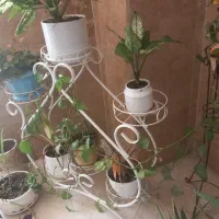 استند گلدان فلزی
