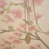 پرده زبرا دو مکانیزه