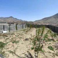 فروش باغ میوه جبل روستای هریزه