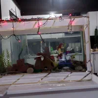 اکواریم