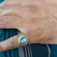 باباقوری رکاب حامد