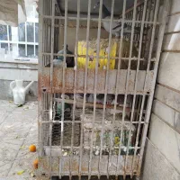 گنجه دوطبقه چهار چرخ