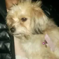 سلام اسمش فندق سلام دوساعته گم شده