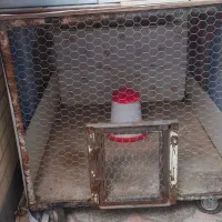 قفس متحرک