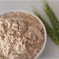 پودر جوانه گندم طبیعی تازه بدون مواد افزودنی