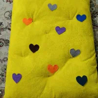 جاخواب سگ وگربه