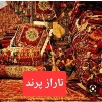 راننده وانت قالیشویی