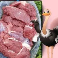 گوشت گرم شترمرغ