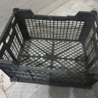 سبد میوه