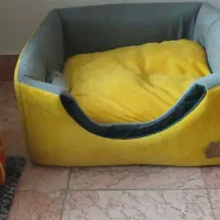 جای خواب سگ یاگربه