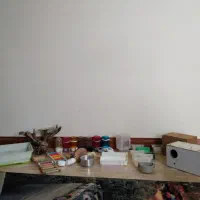 لوازم قفس پرنده/ عروس ‌هلندی/ قفس/ پرنده