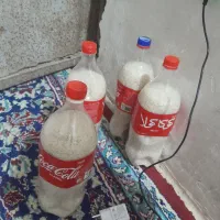برنج|خوردنی و آشامیدنی|علی‌آباد کتول, |دیوار
