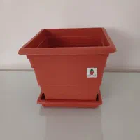گلدان