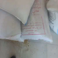 جوحیوانی