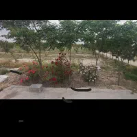 باغچه