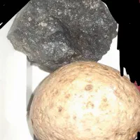 سنگ قدیمی فسیل
