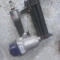 فروش میخکوب بزرگ