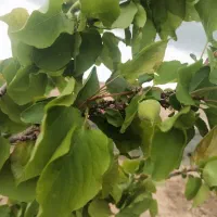 ۲۰۰۰مترزمین میان جام اول جاده بزد