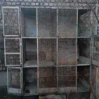 قفس با توری محکم ضد سرقت کبوتر دارای جا قفلی