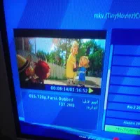 تلوزیون سا.سونگ