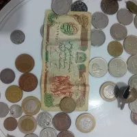 تعدادی سکه خارجی وایرانی معاوضه باعروس هلندی ماده
