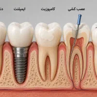 دندان پزشکی