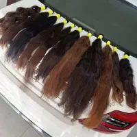 صادر کننده معتبرترکیه مرکز خرید مو