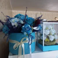 دوتا باکس گل  نو