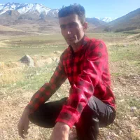 راننده پایه یک