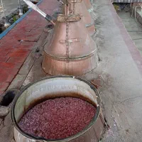 تور سیاحتی و زیارتی